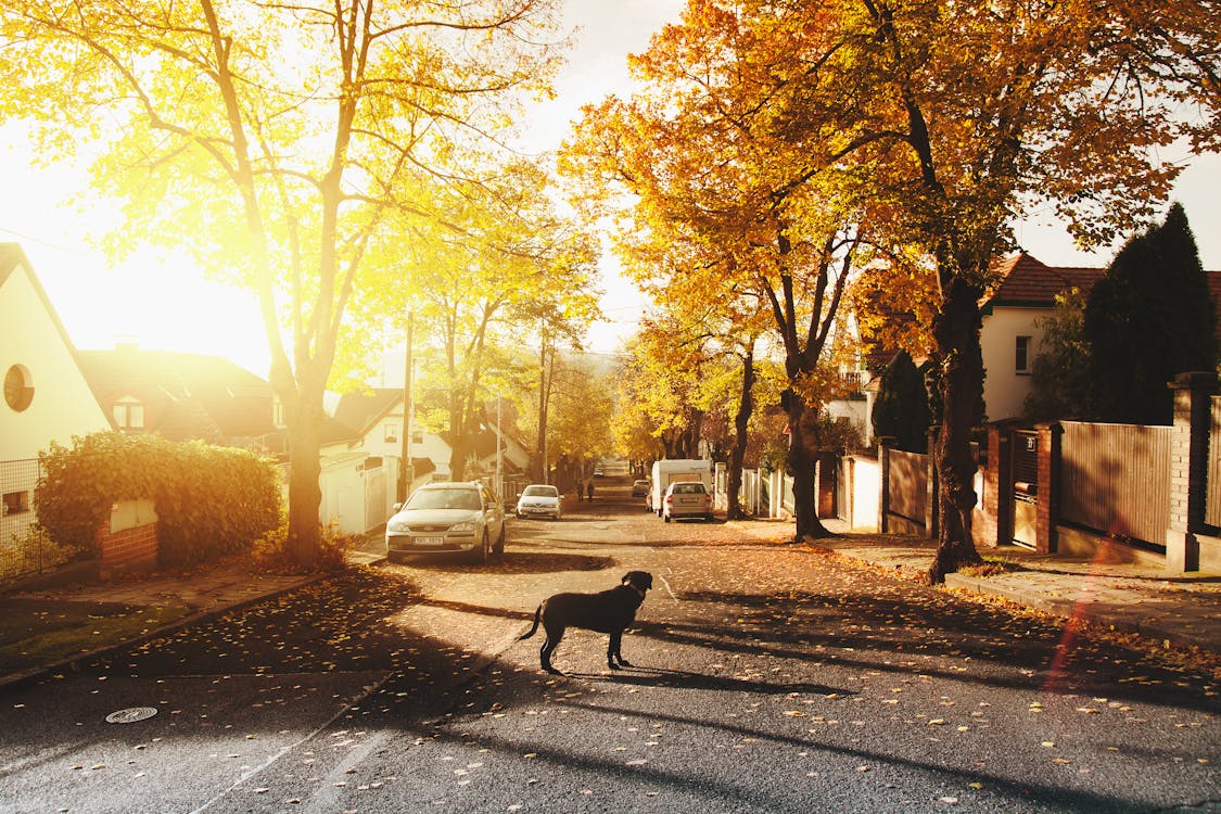 Top Neighborhood Features That Enhance Property Value in 2025: A Guide for Real Estate Investors